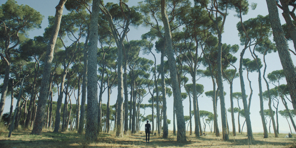 airbnb_-_open_homes_v3.mov.00_00_00_00.Still001