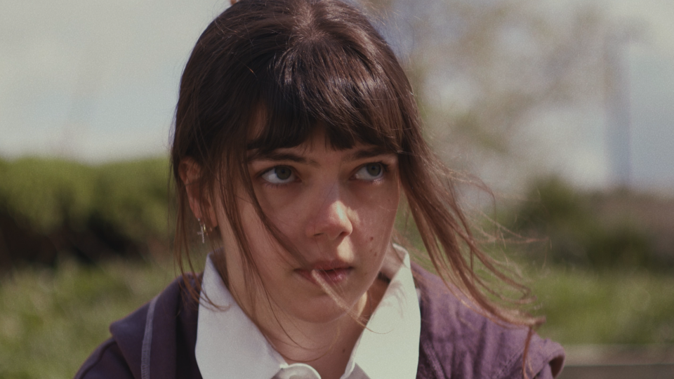 Still 2026-05-20 204338_1.15.1